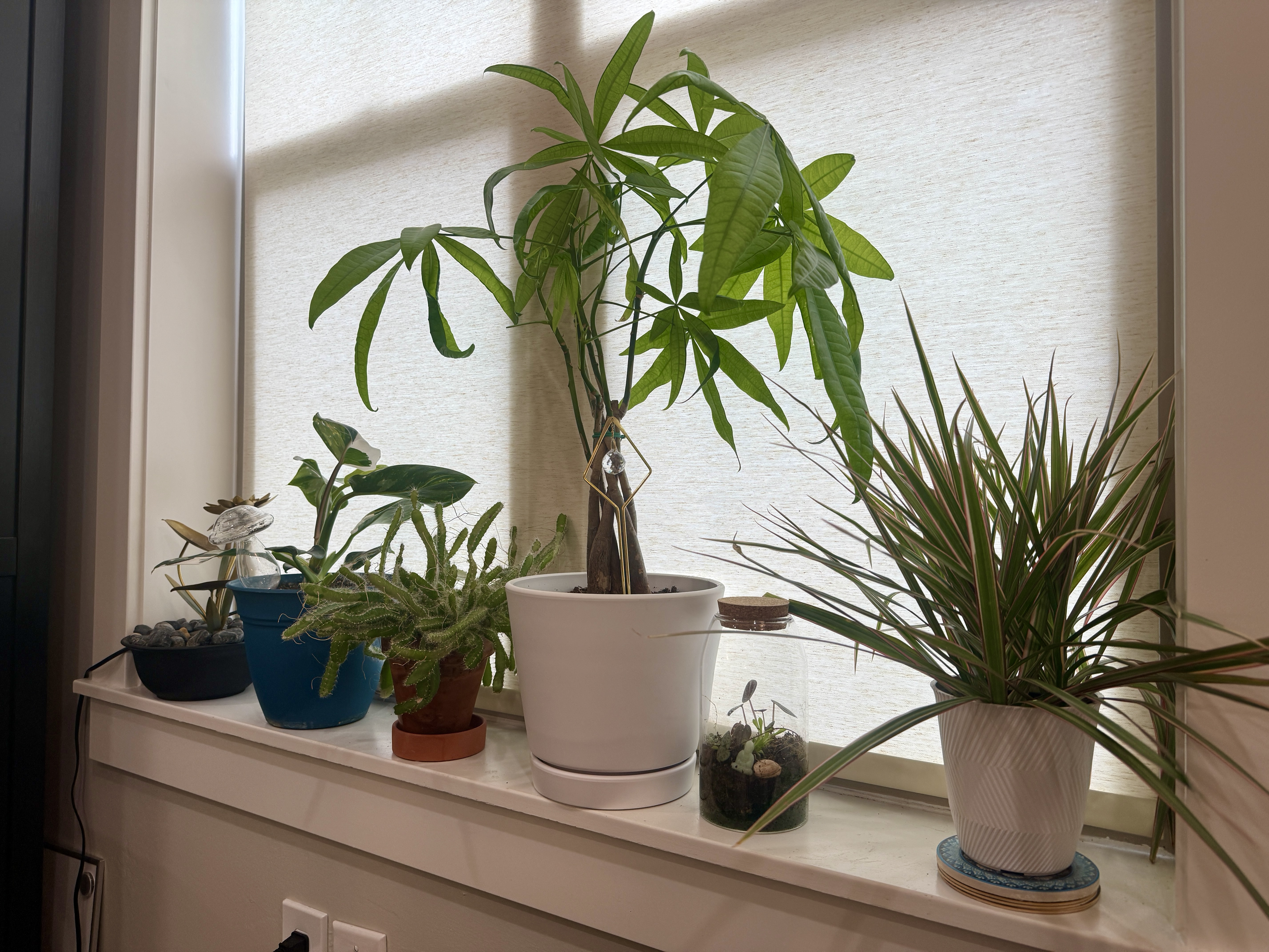 Office detail